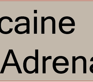 Xylocaine 1% with Adrenaline - 40 x 12, PAPER, Black print on Grey Label, 800 per roll