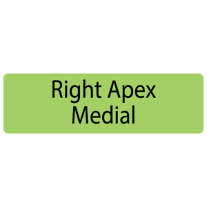 Right Apex Medial, 40 x 12, PAPER, Black print on Green Label, 800 per roll