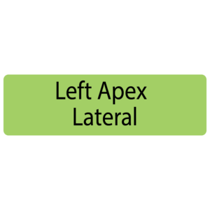 Left Apex Lateral, 40 x 12, PAPER, Black print on Green Label, 800 per roll