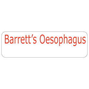 Barrett's Oesophagus - 40 x 12, PAPER, Red print on White Label, 800 per roll