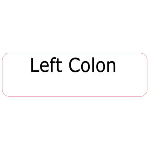 Left Colon, 40 x 12, PAPER, Black print on White Label, 800 per roll