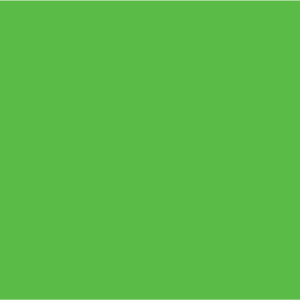 BLANK GREEN - 50 x 90, hole punched, 100 per packet with ties