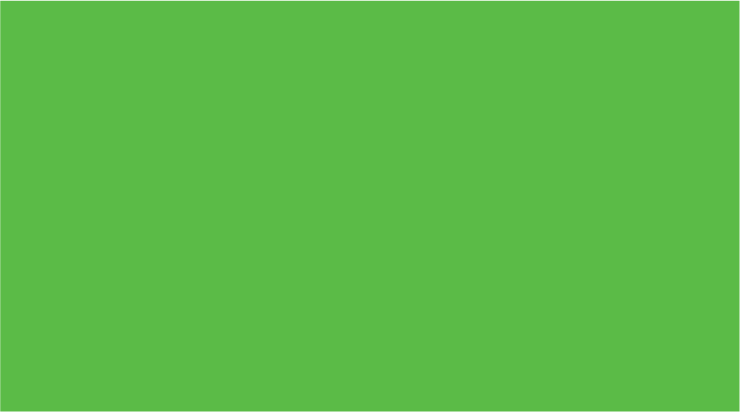 BLANK GREEN - 50 x 90, hole punched, 100 per packet with ties