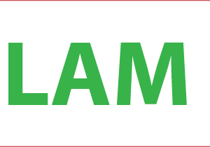 LAM - GREEN PRINT ON WHITE, 70 X 20MM, 1000/ROLL