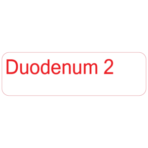 Duodenum 2 - 40 x 12, PAPER, Red print on White Label. 800 per roll