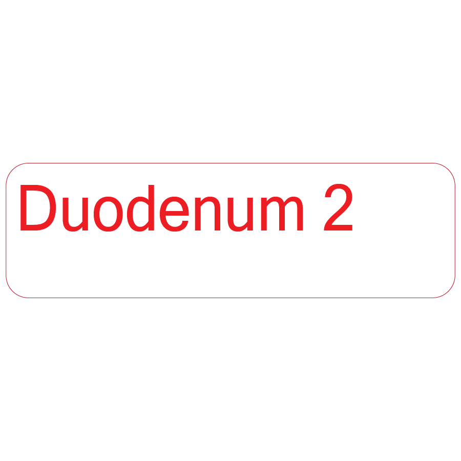 Duodenum 2 - 40 x 12, PAPER, Red print on White Label. 800 per roll