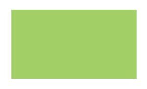 BLANK - 50mm x 200M, Polytag Matt Synthetic, Green, 38mm core