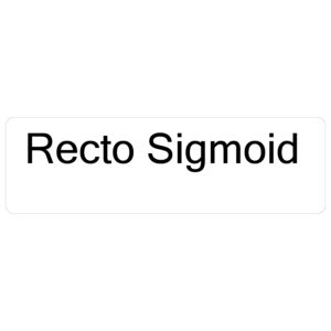 Recto Sigmoid - 40 x 12, PAPER, Black print on White Label. 800 per roll