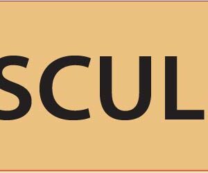 VASCULAR- 40 x 12, PAPER, Black print on Salmon label, 800 per roll