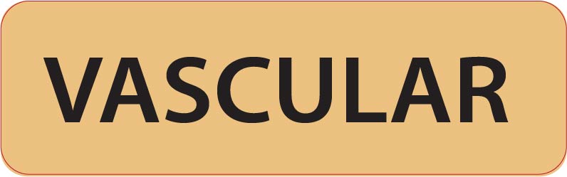 VASCULAR- 40 x 12, PAPER, Black print on Salmon label, 800 per roll