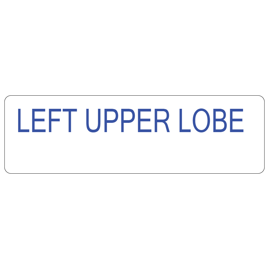 LEFT UPPER LOBE, 40 x 12, PAPER, Blue print on White Label, 800 per roll