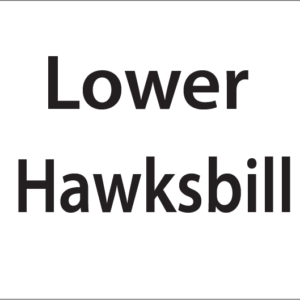 Lower Hawksbill -27mm x 36mm Black Print on White Label, 400 per roll