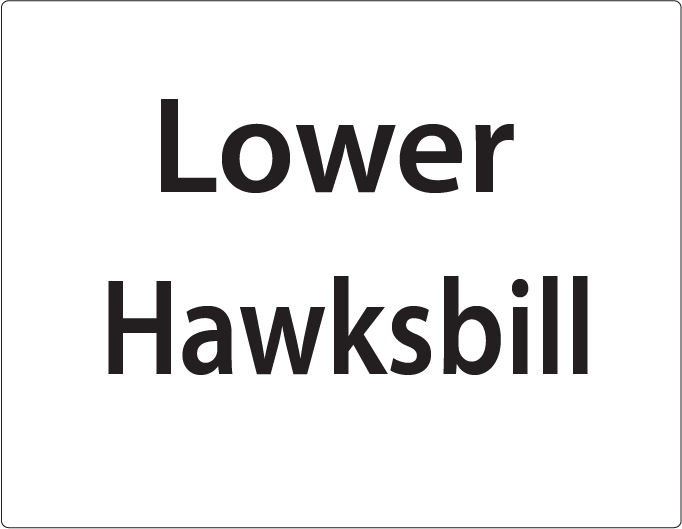 Lower Hawksbill -27mm x 36mm Black Print on White Label, 400 per roll