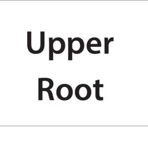 Upper Root -27mm x 36mm Black Print on White Label, 400 per roll