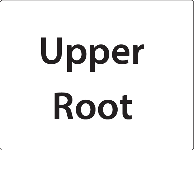 Upper Root -27mm x 36mm Black Print on White Label, 400 per roll