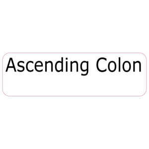 Ascending Colon, 40 x 12, PAPER, Black print on White Label, 800 per roll