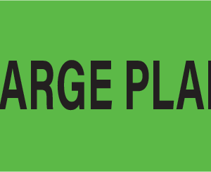 DISCHARGE PLANNING - 40 x 12, PAPER, Black print on Fluoro Green Label, 800 per roll