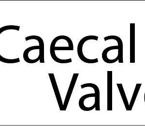 Ileo Caecal Valve Bx- 40 x 12, PAPER, Black print on White Label, 800 per roll