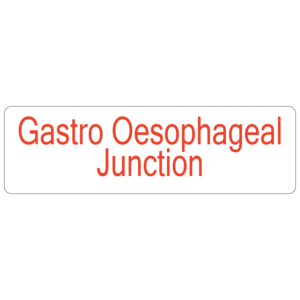 Gastro Oesophageal Junction - 40 x 12, PAPER, Red print on White Label, 800 per roll