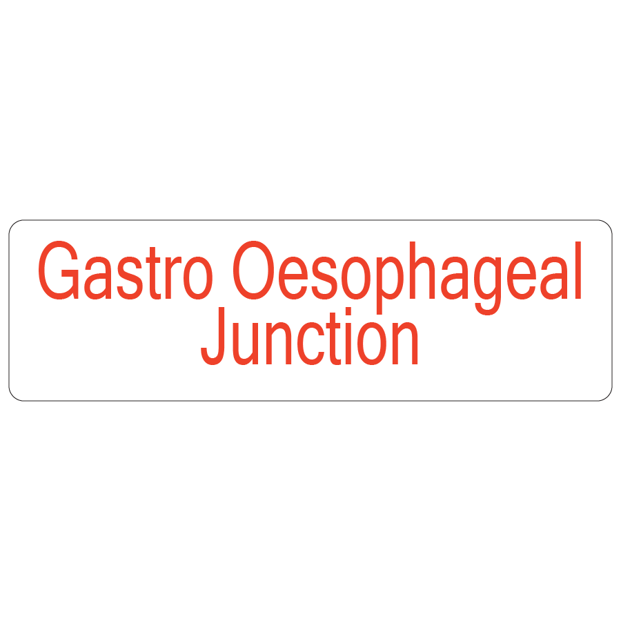 Gastro Oesophageal Junction - 40 x 12, PAPER, Red print on White Label, 800 per roll