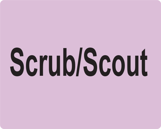 Scrub/Scout- 100 x 80, PAPER, Black Print on Violet Label, 400 per roll
