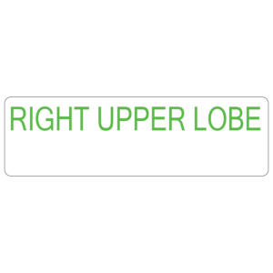 RIGHT UPPER LOBE - 40 x 12, PAPER, Green print (Waxed Resin) on White Label, 800 per roll
