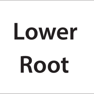 Lower Root -27mm x 36mm Black Print on White Label, 400 per roll