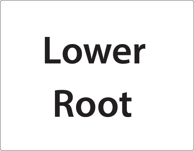Lower Root -27mm x 36mm Black Print on White Label, 400 per roll
