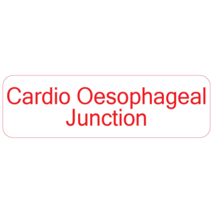 Cardio-Oesophogeal Junction - 40 x 12, PAPER, Red print on White Label. 800 per roll