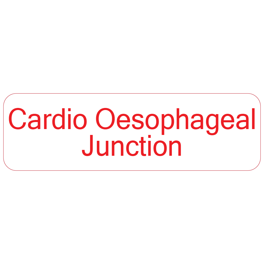 Cardio-Oesophogeal Junction - 40 x 12, PAPER, Red print on White Label. 800 per roll
