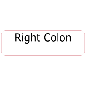 Right Colon, 40 x 12, PAPER, Black print on White Label, 800 per roll