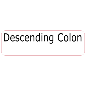 Descending Colon - 40 x 12, PAPER, Black print on White Label, 800 per roll