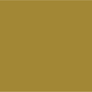 BLANK GOLD - 50 x 90, hole punched, 100 per packet with ties