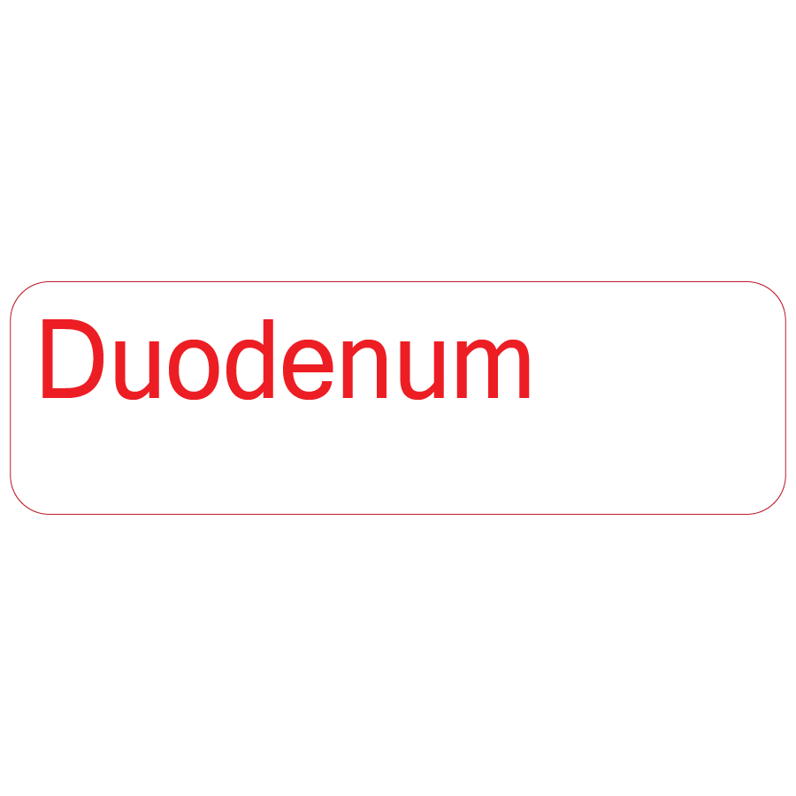 Duodenum, 40 x 12, PAPER, Red print on White Label, 800 per roll