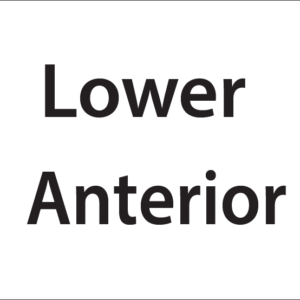 Lower Anterior -27mm x 36mm Black Print on White Label, 400 per roll