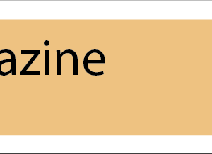 Xylazine label - 40 x 12, PAPER, Black print on Salmon Label, 800 per roll