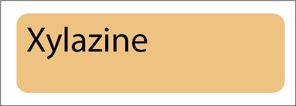 Xylazine label - 40 x 12, PAPER, Black print on Salmon Label, 800 per roll