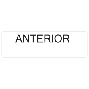 ANTERIOR - 40 x 12, PAPER, Black print on White Label, 800 per roll