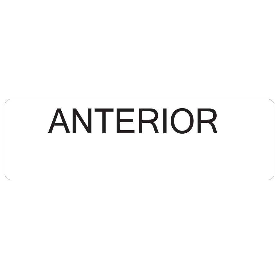 ANTERIOR - 40 x 12, PAPER, Black print on White Label, 800 per roll