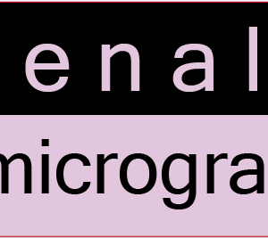 Adrenaline .......micrograms/mL, 40 x 12, PAPER, Black print on violet reversed print, 800 per roll