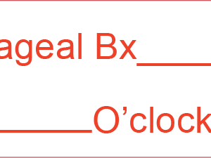 Oesophageal Bx _______cm ______O'clock - 40 x 12, PAPER, Red print on White Label, 800 per roll