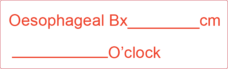 Oesophageal Bx _______cm ______O'clock - 40 x 12, PAPER, Red print on White Label, 800 per roll