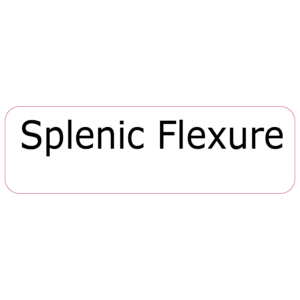 Splenic Flexure - 40 x 12, PAPER,Black print on White Label, 800 per roll