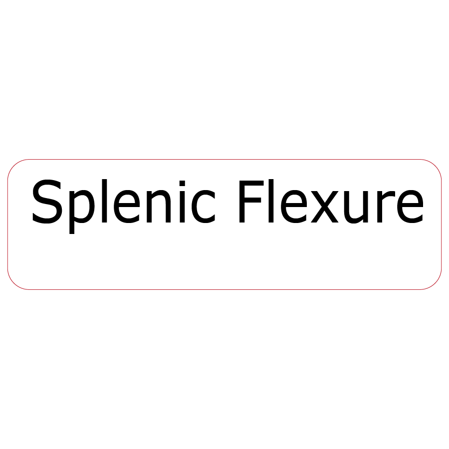 Splenic Flexure - 40 x 12, PAPER,Black print on White Label, 800 per roll
