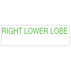 RIGHT LOWER LOBE - 40 x 12, PAPER, Green print (Waxed Resin) on White Label, 800 per roll
