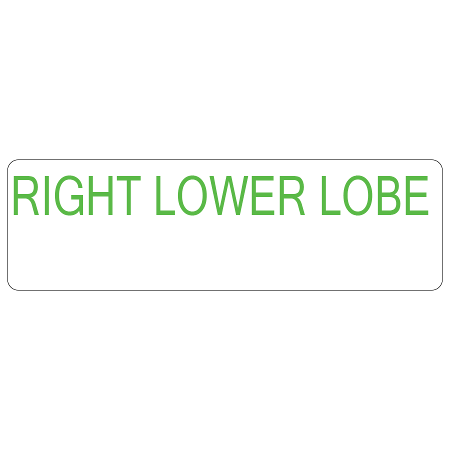 RIGHT LOWER LOBE - 40 x 12, PAPER, Green print (Waxed Resin) on White Label, 800 per roll