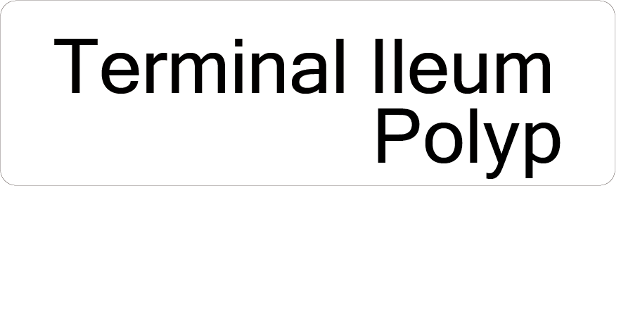 Terminal Ileum Polyp- 40 x 12, PAPER, Black print on White Label, 800 per roll
