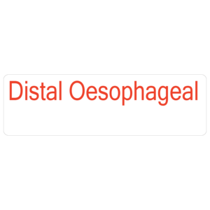 Distal Oesophageal - 40 x 12, PAPER, Red print on White Label, 800 per roll
