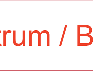 Antrum / Body - 40 x 12, PAPER, Red print on White Label, 800 per roll