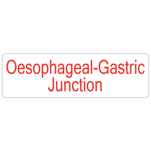 Oesophageal Gastric Junction - 40 x 12, PAPER, Red print on White Label, 800 per roll
